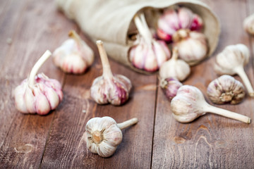 Garlic. Garlic Cloves and Garlic Bulb on a wooden vintage rustic table.
