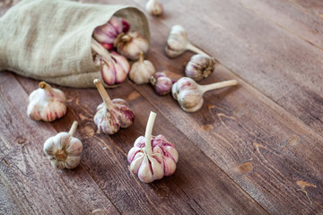 Garlic. Garlic Cloves and Garlic Bulb on a wooden vintage rustic table.
