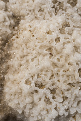 Dried dead sea salt closeup