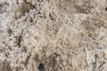 Dried dead sea salt