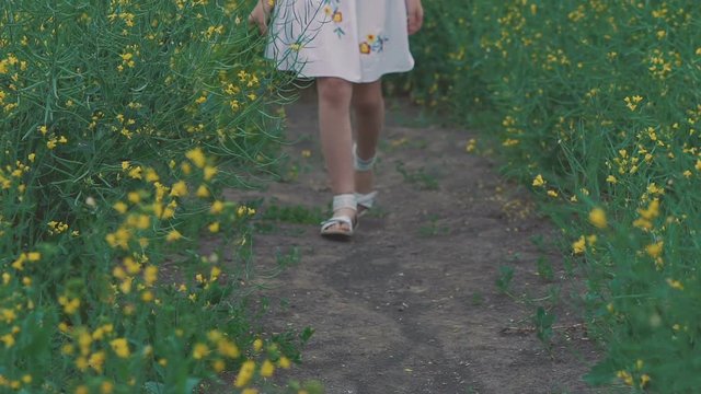 Cute young girl walks in the field of the rape flowers. Slowly