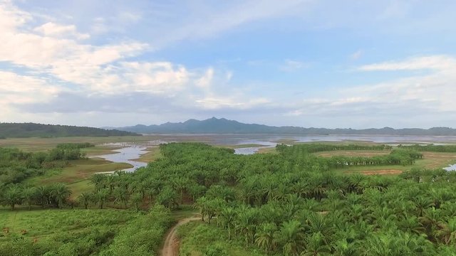 Aerial view of river indented lake with coves and inlets, with banks covered by palm trees and mountains in background. Shot with drone on day with blue sky in Riau, Sumatra, Indonesia, fly forward
