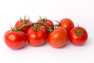 tomatoes on a white background