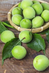 Green Plum