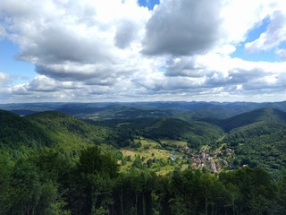 Pfälzer Wald