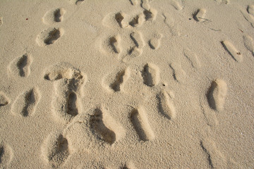 many footprints on the beach, sand