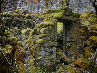 ruined abandoned stone house with collapsed walls and moss growing over the doorway