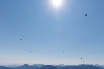 Birds flying over mountain peaks in the alps