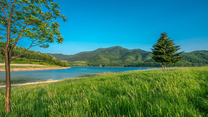 Lake Natural View On Holiday