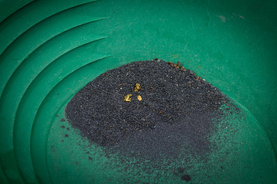 gold nuggets and black black sand in the gold pan