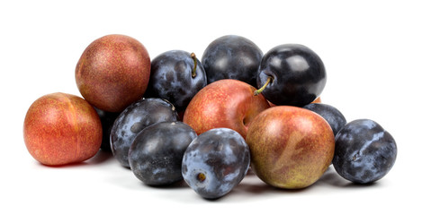 Plums isolated