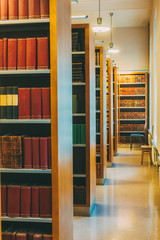 Obraz premium Aged Ancient Old Vintage Books On A Shelfs In Library