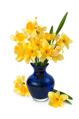 A bouquet of narcissus in a blue glass vase