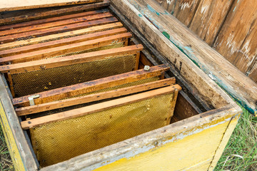 Fototapeta na wymiar Installation of frames with honeycombs in the hive. Work beekeeper. Healing product of beekeeping. May, flower honey.