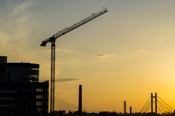 A crane working on a construction site