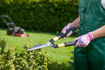 Young woman working in the garden.
