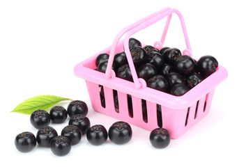 Chokeberry with leaf isolated on white background. Black aronia.