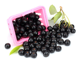 Chokeberry with leaf isolated on white background. Black aronia.