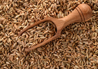 Rye grains and scoop