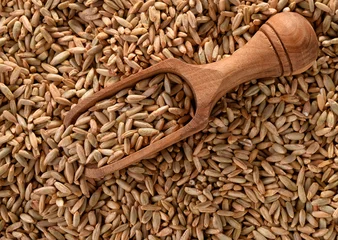 Tuinposter Rye grains and scoop © Coprid