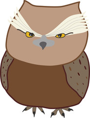 Wise owl1