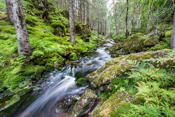 Fototapeta na wymiar Water flow in a stream, long exposure