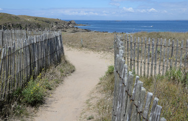 Zaun auf Quiberon, Bretagne