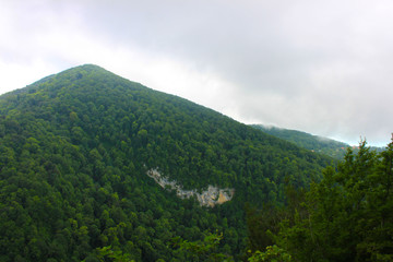 Naklejka premium mountain