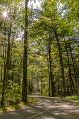Bikepath at Afternoon
