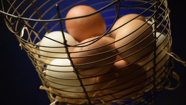 Gallinero Pollaio Kurnik Kanala Kippenhok Թռչնանոց Egg לול H&ouml;nseri Huevo Chicken H&oslash;nsehus video coop Птичник Uova Galinheiro Coccod&egrave; Hen Poulailler