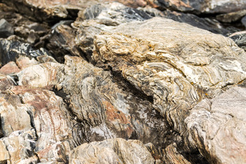 psychedelic design on ocean rocks in Mid-Coast Maine