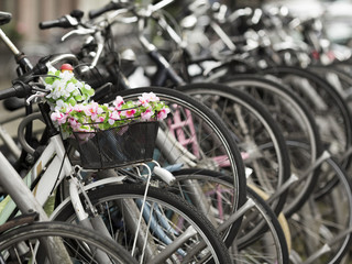 Fototapeta na wymiar A lot of bicycles filling frame and artificial flowers in one bicycle's busket