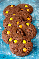 Traditional chocolate cookie for Halloween