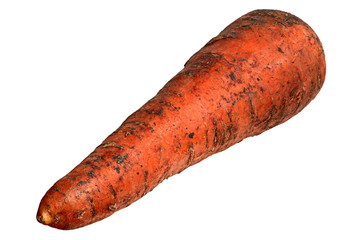 Dirty raw carrots isolated on white background