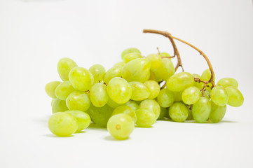 vine