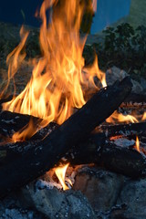 Fototapeta premium fire