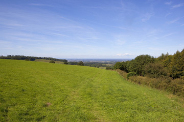 vale of york and grass meadow