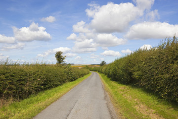country road and hedgerows