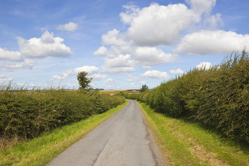 Fototapeta na wymiar country road and hedgerows