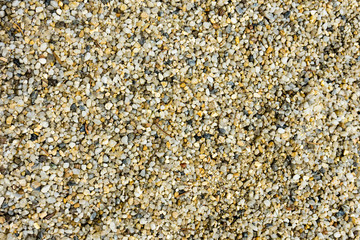 shingle path in park