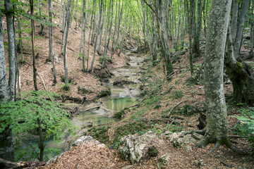 Waterfall on a Mountain River of Crimea
