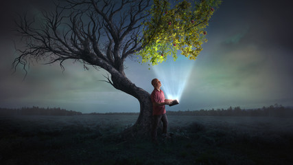 Obraz premium Przynosząc życie do drzewa
