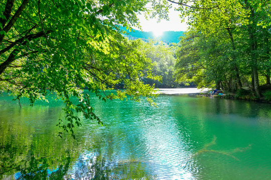Beautiful Green Fog Lake In The Forest. Turkey