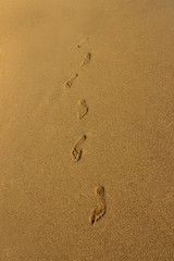 Fototapeta na wymiar Footprints of the young woman walking on the beach. Image of a footprint of a human feet on pure golden sand at beach. Detail of a human footprints on sand walking on the beach