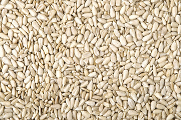 Background made of sunflower seeds