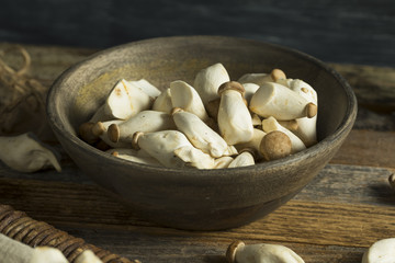 Raw Organic Baby King Oyster Mushrooms
