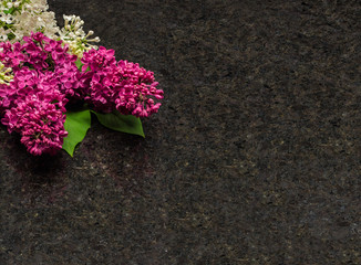 Lilac blossom branches on Antique Brown granite countertop