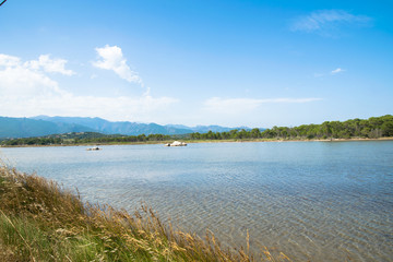 relaxing view with water and natural elements in a sunny day Europe