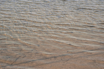 relaxing view with water and natural elements in a sunny day Europe
