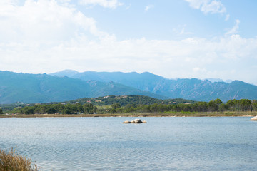 relaxing view with water and natural elements in a sunny day Europe